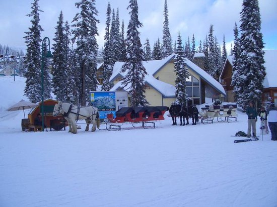 Big White 3 Bedroom Accommodation - Perfection Ridge - #857