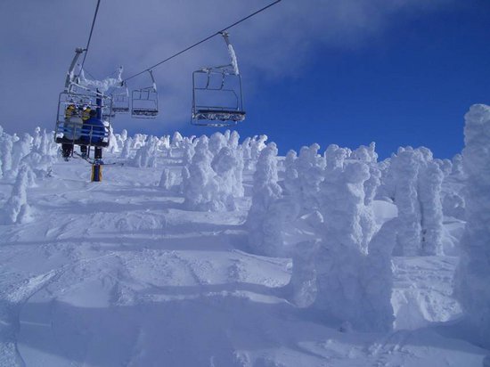 Big White 3 Bedroom Accommodation - Perfection Ridge - #857