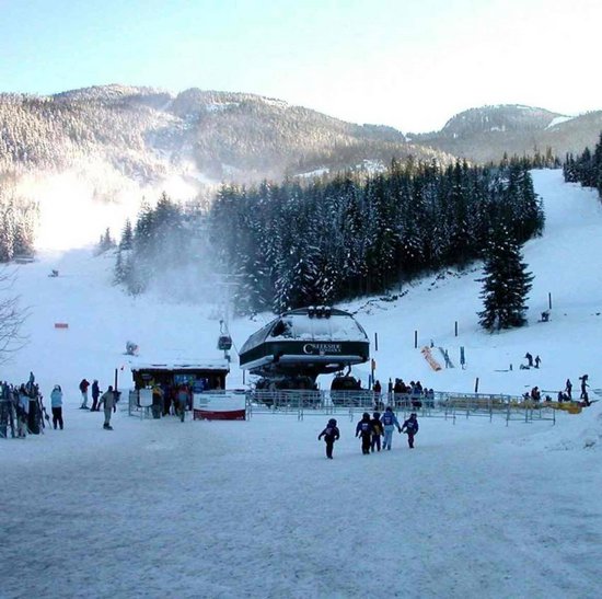 Whistler 1 Bedroom Accommodation - Lake Placid Lodge - #914