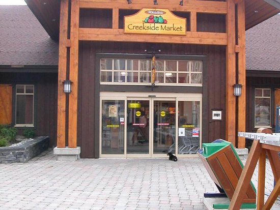 Whistler 1 Bedroom Accommodation - Lake Placid Lodge - #914