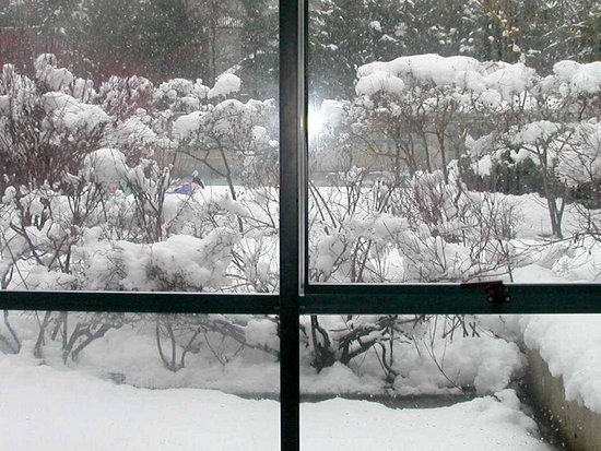 Whistler 1 Bedroom Accommodation - Lake Placid Lodge - #914